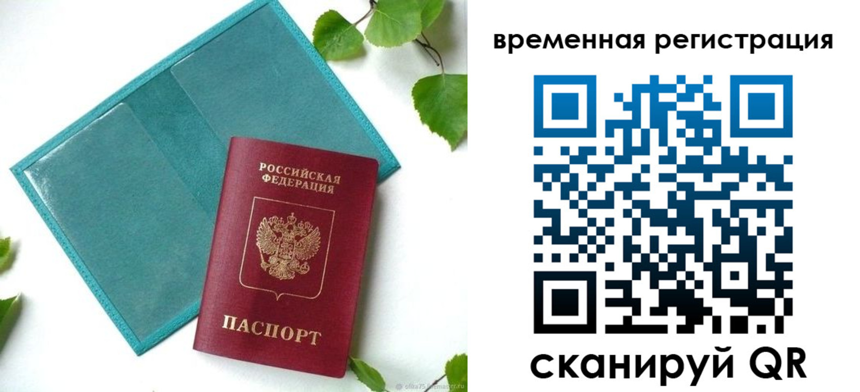 прописка иностранных граждан в Елизово